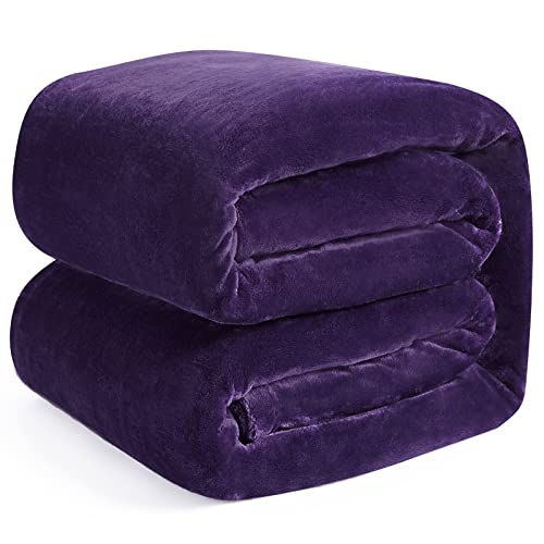 EHEYCIGA Kuscheldecke flauschig, weiche warme Fleecedecke 150x200 als Decke Sofa, Wohndecke oder Couchdecke überwurf, Violett von EHEYCIGA