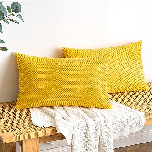 EMEMA Kordsamt Kissenbezug Herbst Dekorative Granulat Sofakissen Dekokissen Kissenbezüge Kissenhülle Couchkissen Überwurf Kissen Bezug Zierkissen für Couch Sofa Wohnzimmer 2er Set 40x60 cm Herbstduft von EMEMA