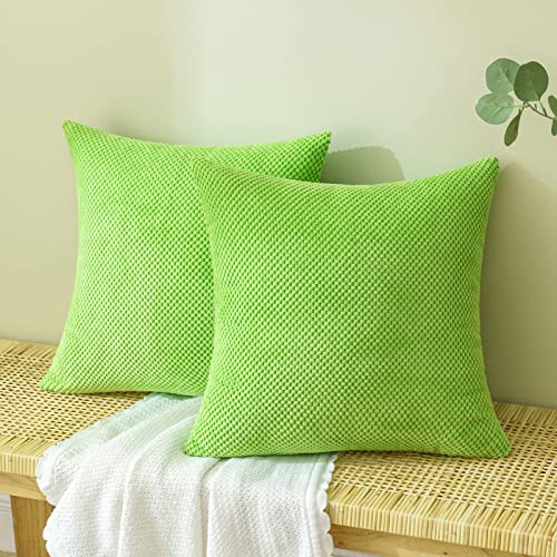 EMEMA Kordsamt Kissenbezug Dekorative Granulat Sofakissen Dekokissen Kissenbezüge Kissenhülle Couchkissen Überwurf Kissen Bezug Zierkissen für Couch Sofa Wohnzimmer 2er Set 45x45 cm Frucht grün von EMEMA