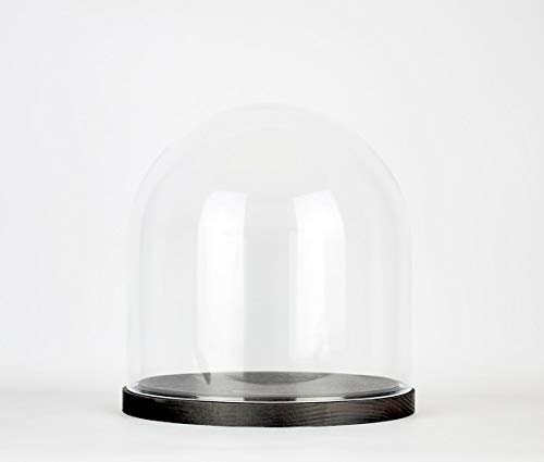 EMH Glasglocke, mundgeblasen, klein, rund, rund, mit schwarzem Holzsockel, 21,5 cm von EMH