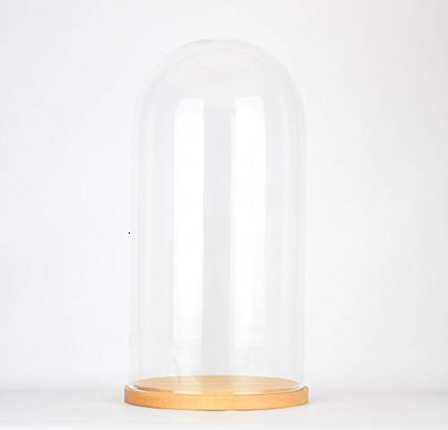 EMH Große Glasglocke mit Holzsockel, Höhe 41,5 cm von EMH