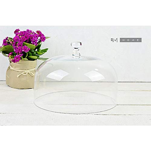 EMH Handgefertigte Display Glas Cupcake Dome Cover Cloche Höhe 18 cm von EMH