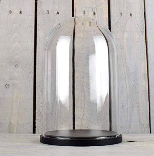 EMH Kleine Glasglocke mit schwarzem Sockel, Höhe 16 x 10 cm von EMH