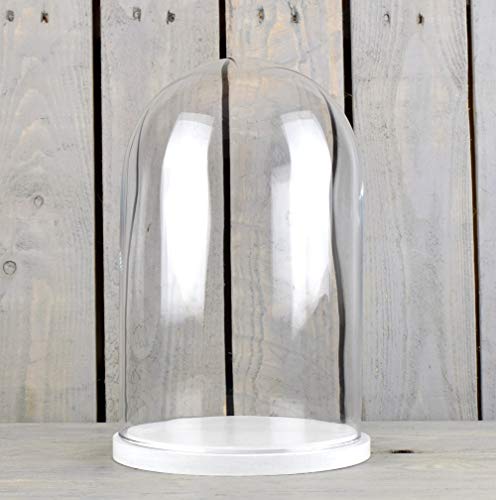 EMH Kleine Glaskuppel mit weißem Holzsockel, Höhe 27,5 cm von EMH