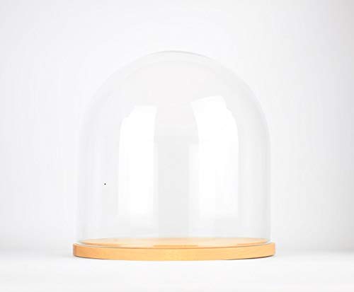 EMH Kleine handgefertigte Glocken-Kuppel aus mundgeblasenem Glas, rund, mit Holzsockel, 21,5 cm von EMH