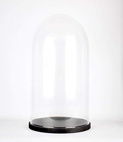 EMH Mundgeblasene Glasglocke, 71,5 x 30,5 cm, mit schwarzem Holzsockel von EMH
