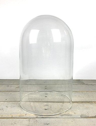 EMH Mundgeblasene Glasglocke aus Glas, rund, 40 cm von EMH