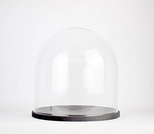 EMH Mundgeblasene Glasglocke mit schwarzem Holzsockel, handgefertigt, 31,5 cm von EMH