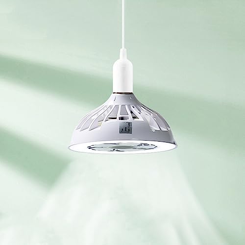 Klein Leise Deckenventilator mit LED Licht,E27 12W 6000K Kaltweiß Deckenleuchte mit Ventilator, 3 Geschwindigkeiten,Einstellbare LED-Ventilatorlampe für Wohnzimmer, Schlafzimmer, Flur, Esszimmer, Büro von EOEO