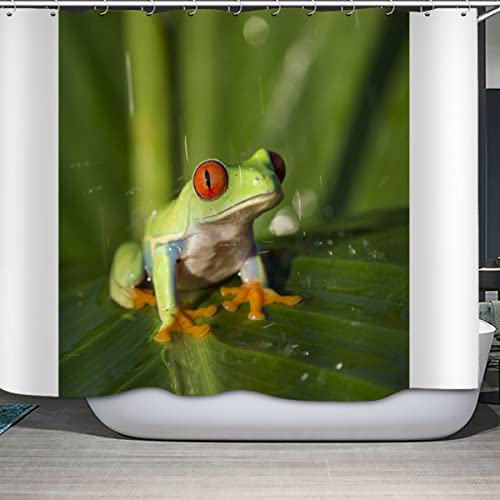 Rotäugiger Laubfrosch Duschvorhang 180x200 Grüner Dschungel Badezimmer Vorhänge Anti-Schimmel Anti-Bakteriell 3D Digitaldruck Waschbar Badewanne Vorhang Polyester Stoff mit 12 Duschvorhangringen von ERDONE