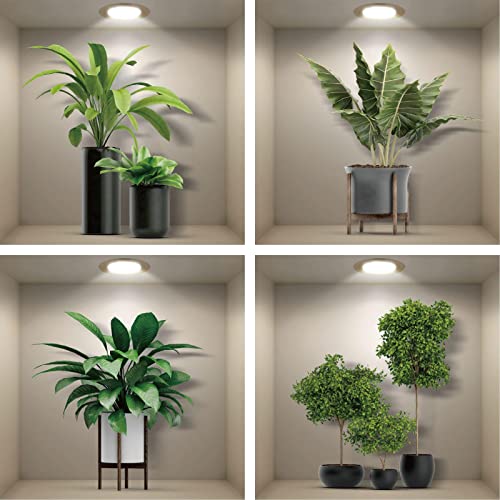 4er Set Wandtattoo 3D Effekt Vase - 3D Wandaufkleber Selbstklebend mit Blumen Grüne Pflanzen Baum Bonsai - Wandsticker Wandbild für Schlafzimmer Wohnzimmer Kinderzimmer Küche Büro 40x40cm von ESFIVHO