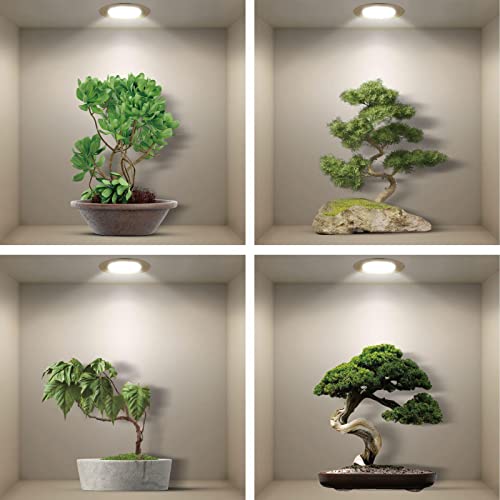 4er Set Wandtattoo 3D Effekt Vase - 3D Wandaufkleber Selbstklebend mit Blumen Grüne Pflanzen Baum Bonsai - Wandsticker Wandbild für Schlafzimmer Wohnzimmer Kinderzimmer Küche Büro 40x40cm von ESFIVHO