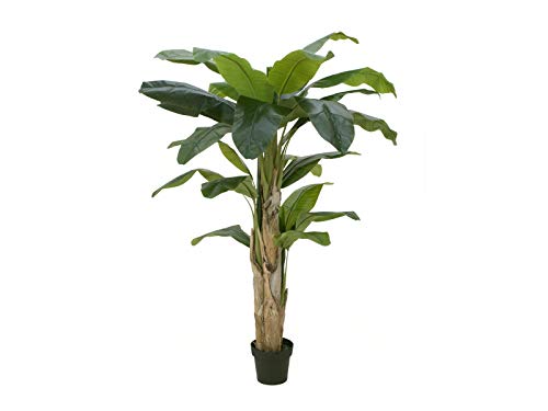 EUROPALMS Bananenbaum, Kunstpflanze, 170cm | Bananenbaum mit drei Stämmen von EUROPALMS