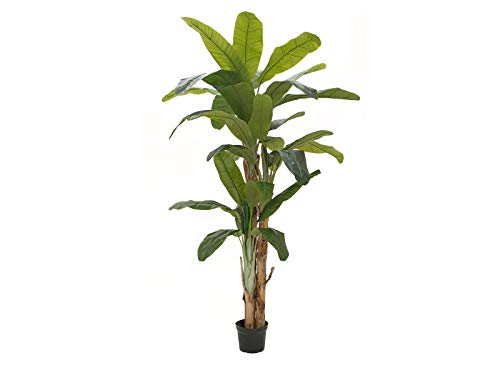 EUROPALMS Bananenbaum, Kunstpflanze, 240cm | Imposante Bananenstaude mit Blättern aus hochwertigem PEVA von EUROPALMS
