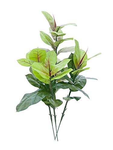 EUROPALMS Gummibaum, Kunstpflanze, 100cm | Natürlich wirkende Blätter, ideal für Gestecke von EUROPALMS