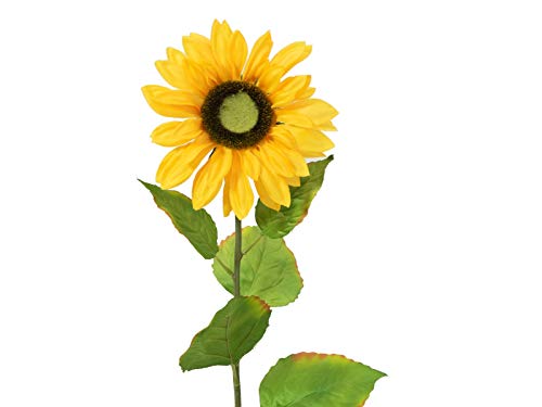 EUROPALMS Sonnenblume, Kunstpflanze, 70cm | Sonnenblume mit langem Stiel von EUROPALMS