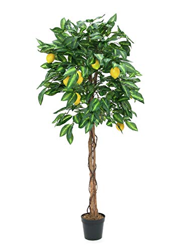 EUROPALMS Zitronenbaum, Kunstpflanze, 180cm von EUROPALMS