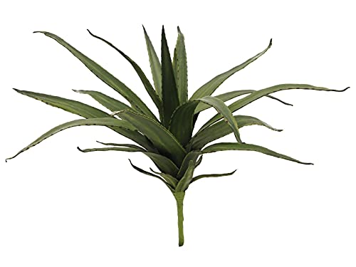 EUROPALMS Aloe (Eva), künstlich, grün, 50cm | Weiche Aloepflanze mit Soft-Touch-Blättern - wirkt sehr natürlich von EUROPALMS