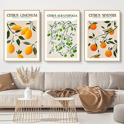 EXQUILEG 3er Stilvolles Citrus Bilder Set Citrus Poster Kunstdrucke Moderne Wandbilder Vintage Wanddeko Ohne Rahmen Premium Für Wohnzimmer Schlafzimmer Esszimmer (30 * 40cm) von EXQUILEG