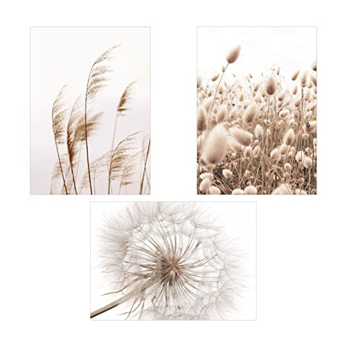 EXQULEG Poster 3er Set,Löwenzahn Pampas und Löwe Home Deko, Ohne Rahmen Moderne Bilder Wanddeko, Wandbilder für Wohnzimmer Schlafzimmer (EGD,30x40cm) von EXQULEG