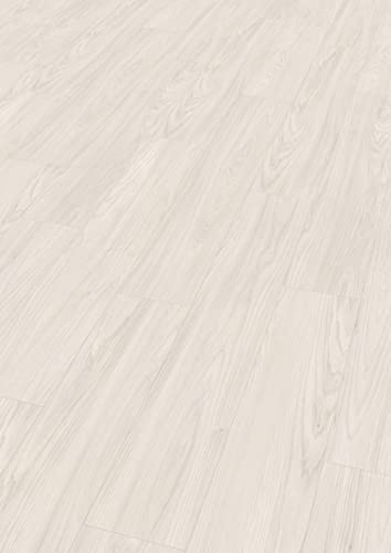 Egger Laminatboden Aqua Clic It EL1003 Sheffield Akazie Weiss (8mm, 1,995m²) | authentische Holzoptik | | Einfache Verlegung durch Klicksystem | Praktisch & wertbeständig von Egger
