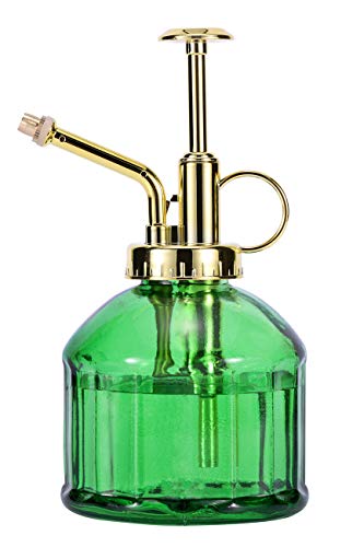 Eidoct Glas Pflanze Mister Sprühflasche, 6.5" grüne Glas Wasser Sprühflasche mit Gold Top Pumpe Kleine Gießkanne, kleine Sprühflasche für Indoor Outdoor Haus Pflanze, Green+Gold B von Eidoct