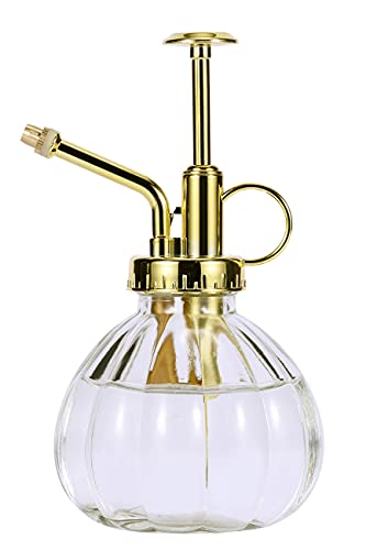 Eidoct Glas-Pflanzennebel-Sprühflasche, 16.5 cm, klare Glas-Wassersprühflasche mit goldener Pumpe, kleine Gießkanne, Hauspflanze, klar + gold (transparent + gold C) von Eidoct