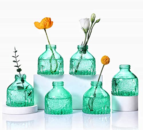 Eidoct Glasvasen, 6 Stück, Glasblumenvasen, kleine Flaschen für Blumenarrangements, rustikale dekorative Blumenvasen, für Tafelaufsatz, Zuhause, Büro, Dekoration oder Hochzeitsveranstaltung (Grün D) von Eidoct