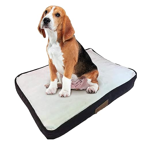 Ellie-Bo Käfig 61 cm Hund oder Box klein 56 cms x 41 cms Hundebett braun Cord Seiten und Creme Kunstfell Topping von Ellie-Bo