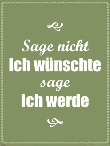 empireposter Motivational - Sage Nicht ich wünschte - 60x80 von empireposter