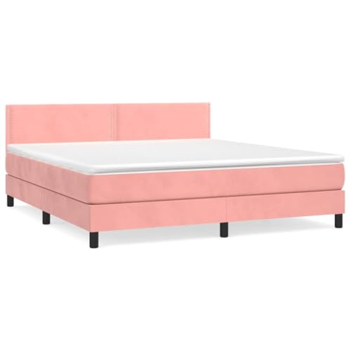 Enshey [Samtbettrahmen] Boxspringbett mit Matratzenset – 160 x 200 cm gepolstertes Bett und Matratze-Rosa(160 x 200 cm) von Enshey