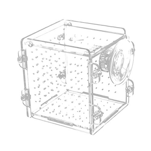 Fisch Zucht Box Transparent Acryl Isolation Inkubator mit Saugnapf Hängen- Auf Fische Garnelen Brüterei für Aquarium Aquarium von Esenlong