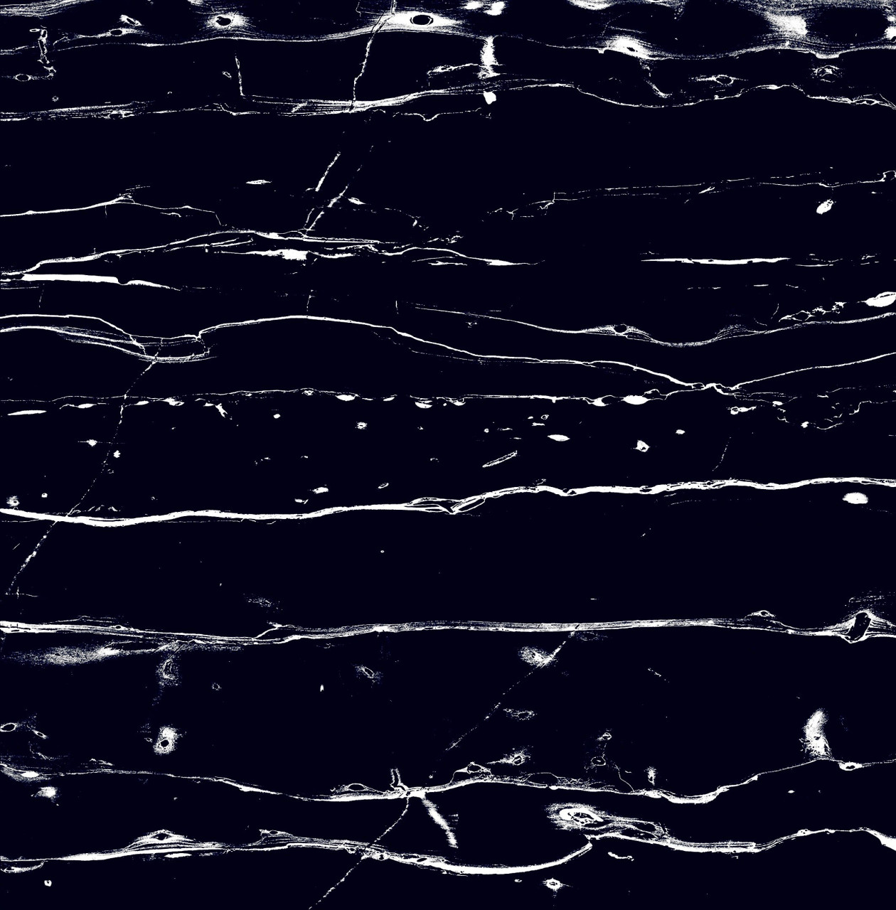 Bodenfliese Feinsteinzeug Prothro Black 60 x 60 cm schwarz von Euro Stone
