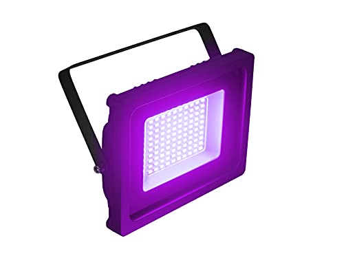 EUROLITE LED IP FL-50 SMD violett | Flacher Outdoor-Scheinwerfer (IP65) mit farbigen LEDs von Eurolite