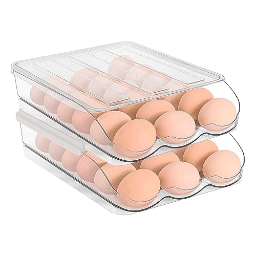 Evzvwruak 2-Lagen-Eierhalter-Ei-AufbewahrungsbehäLter für KüHlschrank, Rampentyp Auto-Roll-Eier-Organizer für KüHlschrank von Evzvwruak