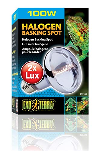 Exo Terra Halogen Basking Spot, Breitspektrum Tageslichtlampe, 100W, Fassung E27 von Exo Terra
