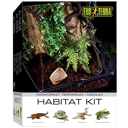 Exo Terra Rainforest Habitat Kit, Terrarien Starter Set Regenwald, inkl. Abdeckung, Thermometer, Hygrometer, 2 künstlichen Pflanzen, Bodengrund, Wassernapf, 2 Lianen, 45 x 45 x 60cm von Exo Terra