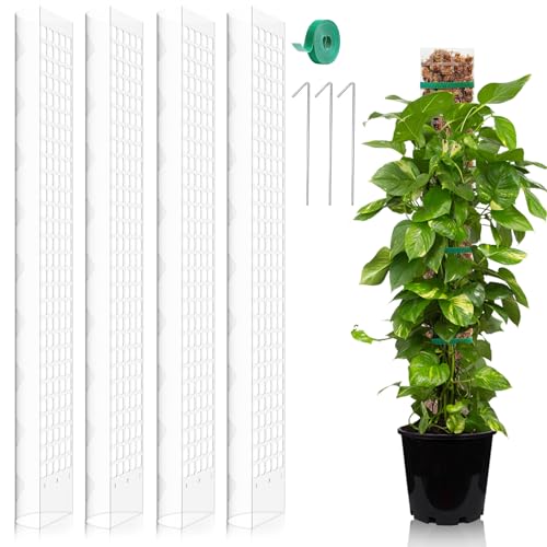 FAELNK Monstera Rankhilfe 4 Stück 24 Zoll Moosstab Pflanzen Moosstangen Set Rankhilfe Zimmerpflanze Moss Pole aus Kunststoff Erweiterbar DIY Moosstab für Monstera Weiß von FAELNK