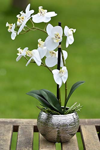 FIDEO Orchidee Kunstpflanze Phalaenopsis Creme weiß Höhe 30cm Keramiktopf Silber von FIDEO