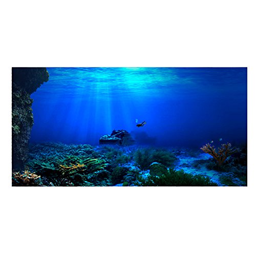 FILFEEL Aquarium Hintergrund Aquarium Dekorationen Bilder 3D Effekt PVC Adhesive Poster Unterwasserwelt Hintergrund Dekoration Papier Cling Decals Aufkleber(122x46cm) von FILFEEL