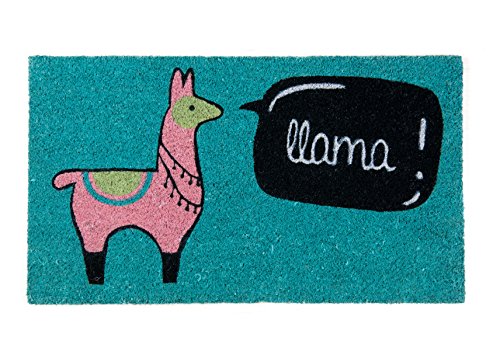 FISURA - Fußmatte außen Llama aus Kokosnuss mit rutschfester PVC-Rückseite. Lustige welcome Fußmatte. Handbemalt. Größe: 70 cm x 40 cm. von FISURA