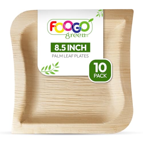 FOOGO Green 10 Einweg-Palmblattteller, elegante Wellenform, 8,5" (21 cm), umweltfreundlich, kompostierbare Teller, wie Holzteller, Pappteller, für warme Speisen, Hochzeit, Party-Teller von FOOGO Green