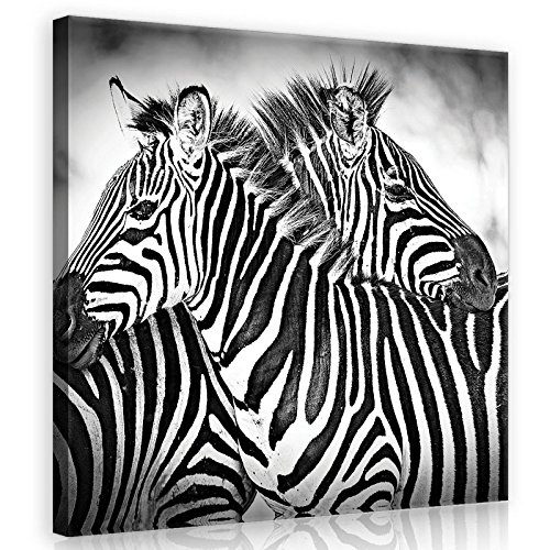 Forwall Bilder Zebra schwarze und weiße Tiere Modern Schlafzimmer Wohnzimmer Leinwandbilder Wandbild Kunstdruck Wandbilder Wand Bild auf Leinwand Aufhängefertig (10092, O2 (80 x 80 cm)) von Forwall