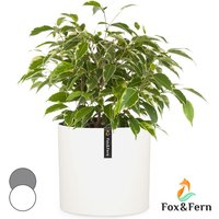 Fox&fern - Venlo Blumentopf Polystone in- und outdoor 3 Größen - Weiß, matt von FOX & FERN