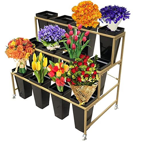 FPIGSHS Blumenständer mit Eimern - 3 Etagen mit 12 Eimern, Pflanzenständer, mobiler Blumenständer mit Rädern, für Innen- und Außenbereich, Garten, Wohnzimmer, Florist (B) von FPIGSHS