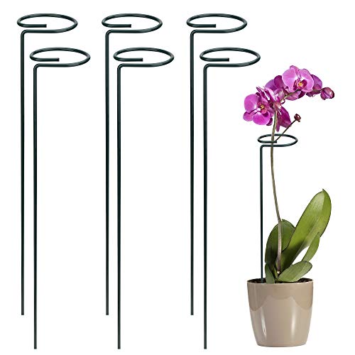 FT-SHOP Pflanzenstütze Staudenhalter Strauchstütze Stahl Garden Single Stem Stützring für Pflanzen Blumen Gemüse 40cm 6 Stücke von FT-SHOP