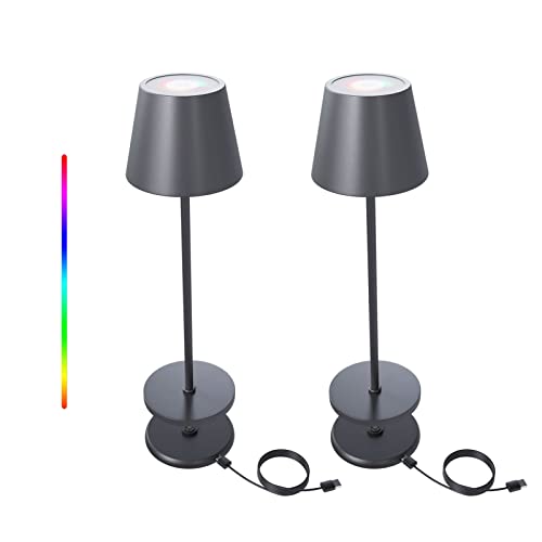 FUYO 2 Stück Tischlampe Kabellos Dimmbare 8 Farben LED Akku Tischleuchte Touch mit USB Ladestation Outdoor IP54 Wasserdicht Tischlampe für Garten Esstisch Schlafzimmer Hotel (Grau) von FUYO