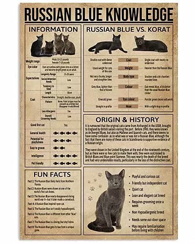 Metall-Blechschild „Wissen über die russische blaue Katze“, lustige Fakten über die russische blaue Katze, Retro-Druck, Poster, Schule, Tierhandlung, Café, Bar, Schlafzimmer, Badezimmer, Küche, Zuha von FWJZDSP