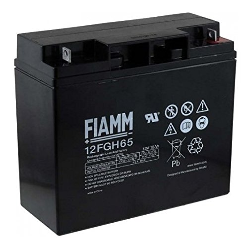 FIAMM 12FGH65 18 Ah 12 V USV-Batterie (18 Ah, 12 V, 5 Jahre), 0 – 40 °C, -20 – 50 °C, schwarz von Fiamm