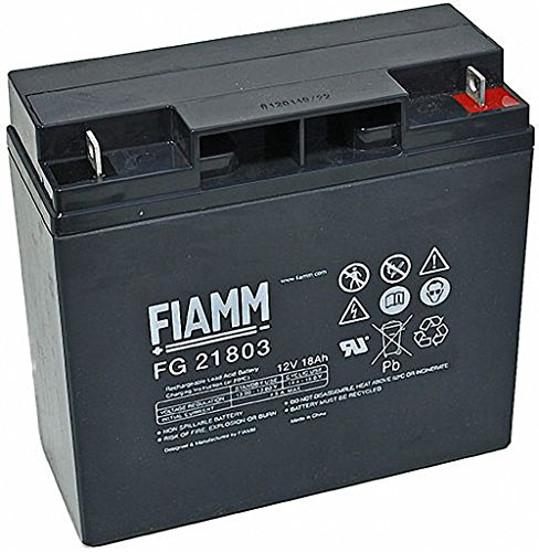 Original FIAMM Akku 12V 18AH FG21703 / FG21803 kompatibel mit FR2:LB352612 GP 12170 GP12170 CSB GP12170 von Fiamm